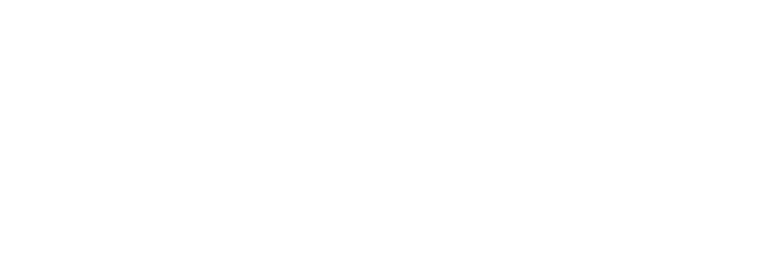 Логотип Finn Flare